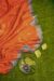 HANDLOOM,COTTON,TANGAILSAREE,NATURAL FEBRIC,HANDLOOM MARK - Image 4